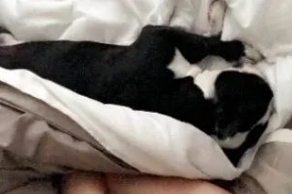 🍆HORNY FANCY GIRL💘GFE💋CREAMPIE💧ROMANTIC SEX💧420 LOVER💋AVAILABLE FOR SERVICE💋 - Image 7